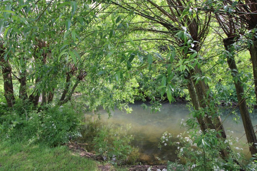 Images for Westwood Drive, Canterbury