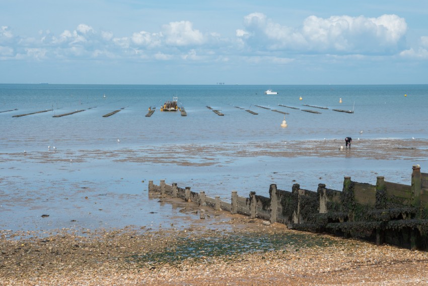 Images for Olympia Way, Whitstable