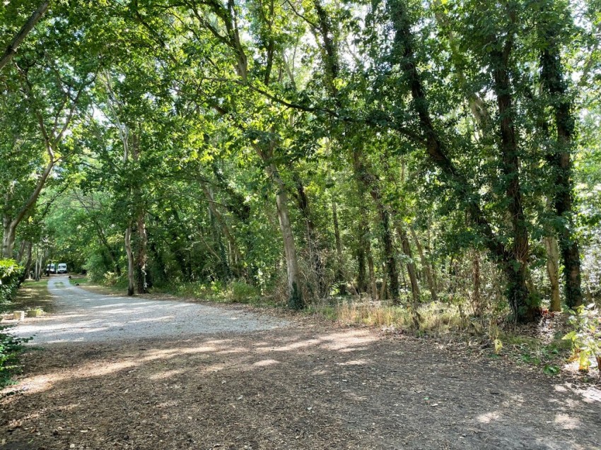 Images for Land East of Radfall Hill, Chestfield