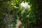 Images for Woodlawn Street, Whitstable, Kent