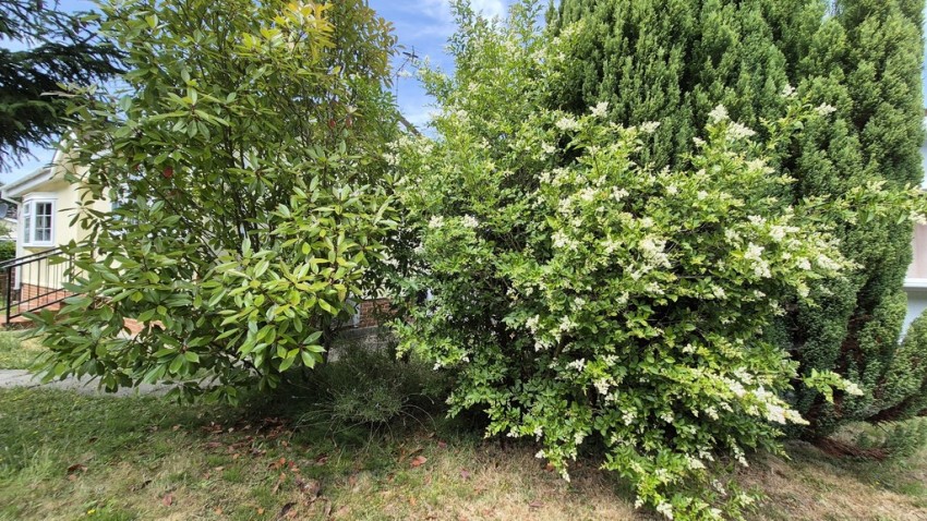 Images for Woodlands Estate, Blean, Canterbury, Kent